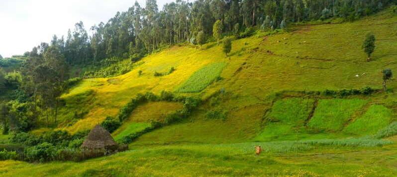 The amazing green scenery of Inor