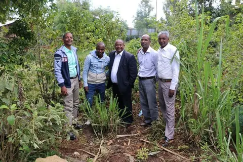 ኧዊክልፍ ኢትዮጵያ መጣሐፍ ቅዱስ ማሃበር ኧትርጉም ሜና ያቂማሙጭዋታ ሰቭቪ እእኖር ወያ ጉርዳ መጣሐፍ ቅዱስ ተርጓምሚቭ ሁኖዋ እማትሜ:: /የዊክሊፍ ኢዮጵያ መጽሐፍ ቅድስ ማሃበር የትርጉም ሥራ  እና የእኖር መጽሐፍ ቅዱስ ተርጓሚዎች አንድ ላይ ።/The translation team alongside people from Wycliffe Ethiopia.