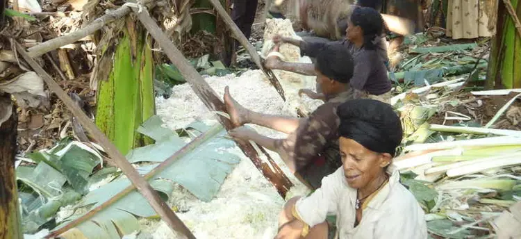  እስቻ ህና ኧተኸ ኧሰድ  ይፈአኸ  ያቲሽካናአር/ሴቶች እንዴት  እንሰት እንደሚፍቁ ።/The traditional method of shaving "Inset".